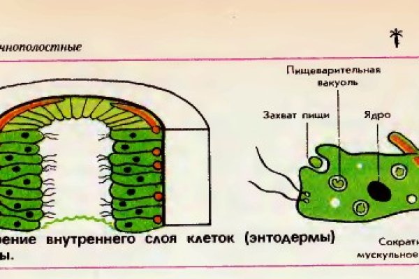 Кракен сайт 17at