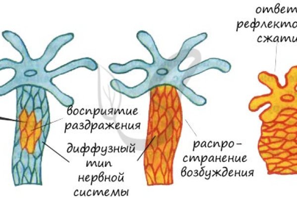 Кракен нрк