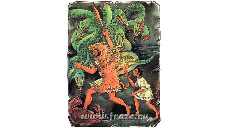 Kraken 12at